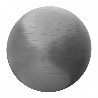 Fitness Ball 55 cm - Gray