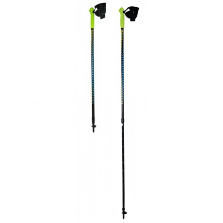 Adjustable 2-sections Nordic Walking Pole 100-140 cm