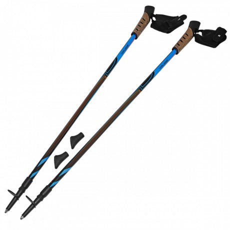 Adjustable 2-sections Nordic Walking Pole 100-140 cm - Black/Blue