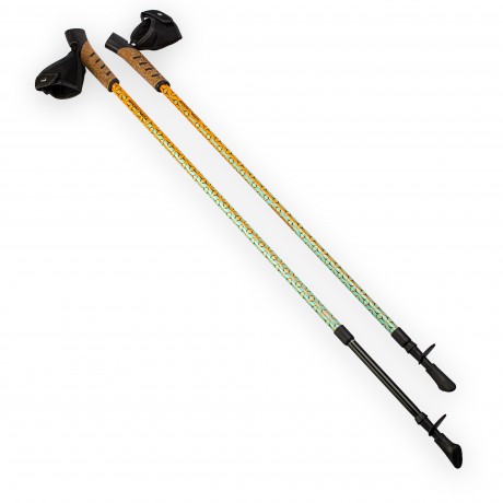 Adjustable 2-sections Nordic Walking Pole 100-140 cm - Orange/Green