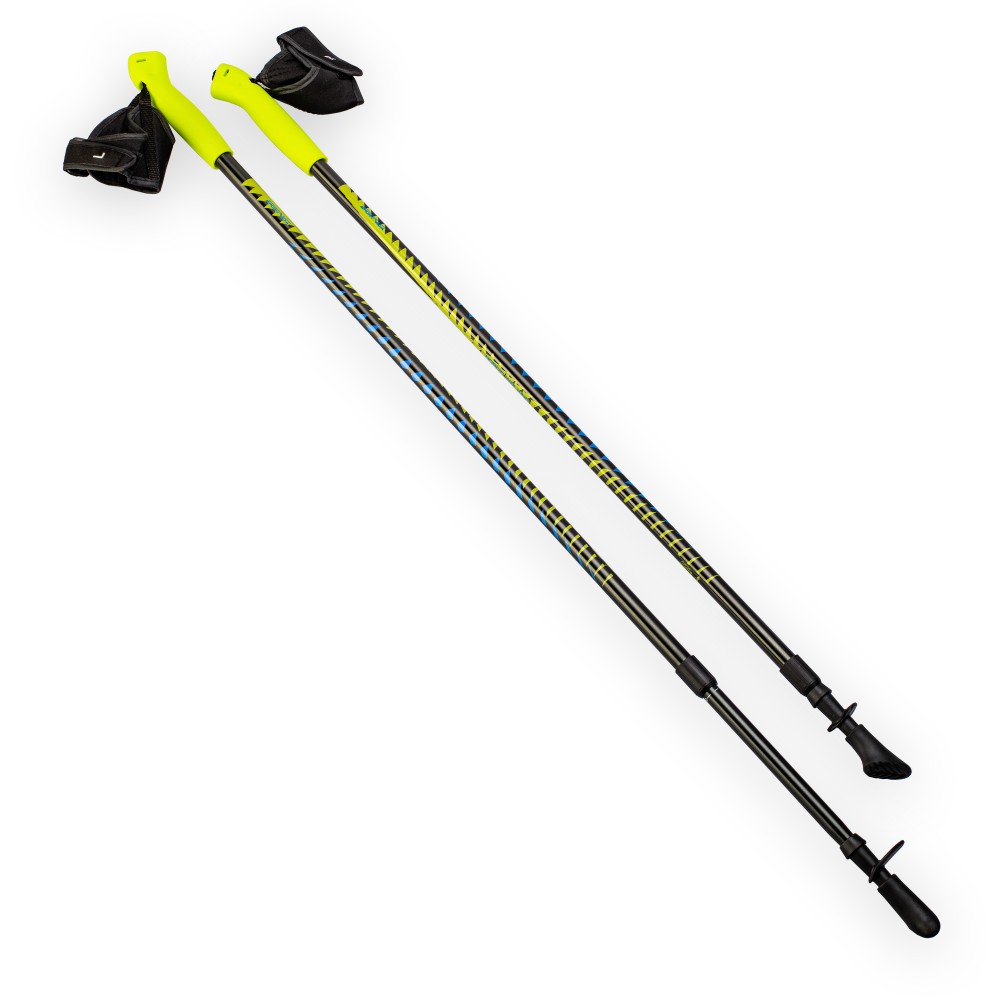 Adjustable 2-sections Nordic Walking Pole 100-140 cm