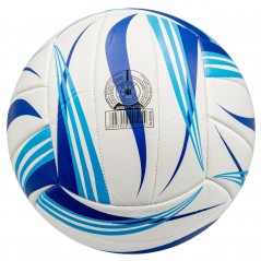 Volleyball - Size 5, Blue