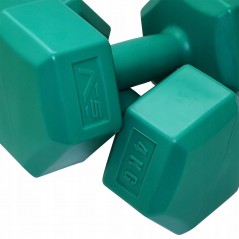 Fitness 4 kg Dumbbells Twin-pack