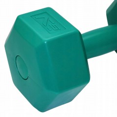 Fitness 4 kg Dumbbells Twin-pack