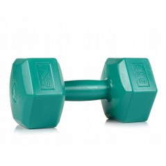 Fitness 4 kg Dumbbells Twin-pack