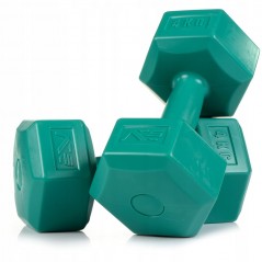 Fitness 4 kg Dumbbells Twin-pack