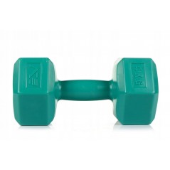 Fitness 4 kg Dumbbells Twin-pack